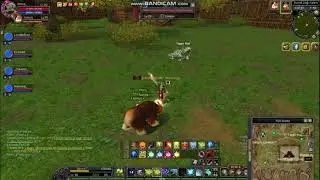 TRSRO Aspendos Rhino_ (Tiger Girl)