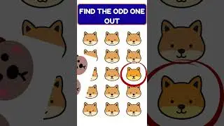 Find the Odd One Out | Kids Educational video | Fun Learning Game for Kids |  Quiz for Kids #shorts