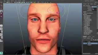 Mariya Kozhuharova Rigging Showreel 2015