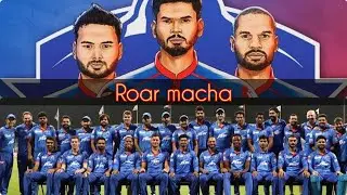 DC- Delhi capitals status (RoaR MacHa) / b. creation
