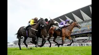 LATEST UPDATE DERBY & HYDERABAD. #turftracker #horseracing #horseraces #rwitc #horsesports