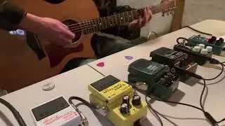 Boss RE-2 Space Echo, TC Infinite Sample Sustainer and Other Pedals with a Taylor 314CE Acoustic