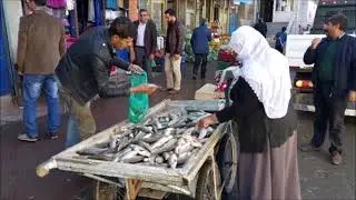 MUŞ BULANIK TANITIM VİDEOSU 2018