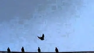 MYDC0316.AVI