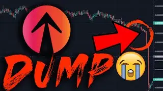 EverRise Token RISE 🚨 2 WHALES DUMPED (EXPLAINED) *WATCH IF YOU OWN*