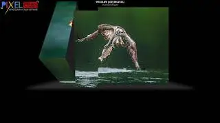 Wildlife Awarded Images Judging 2 Universal image Circuit 2020.SGIPL