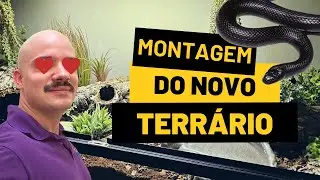 Montando um terrário para uma cobra 
