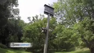 Bat removal and relocation into bat house