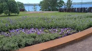 En Vacker Vy Ifr&aring;n Rosariet 2020.06.15