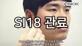 SI18 관료 顴髎 Quanliao (Eng sub) - KMCRIC WHO Standard acupoint DB