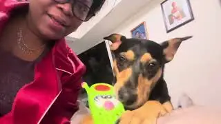 TRAINING SUGAR CAKE HOW TO GET HER BOYFRIEND . 😅🥂