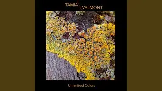 Unlimited Colors