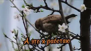 Плейкаст по произведению Агния Барто &laquo;Весна идет&raquo; для применения на этапе закрепления темы урока