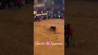 🔥As&iacute; vivimos la Salida del Toro de la Pur&iacute;sima en 2 Visiones, desde arriba y a pie de Albero🔥