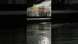 Kedia on the Scheldt #subscribe #automobile #trending #boating #ship #funny #love#like#shorts #share