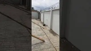 Outside screeding ideas | Youtube short
