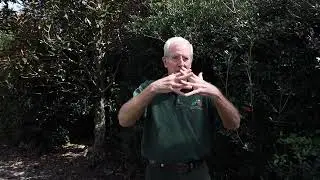 Louisiana Certified Burn Program - Prescribed Burn Workshop