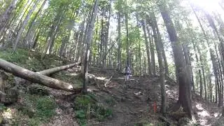 Zwieselberg