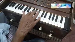Dila Thehar Ja Yaar Da Nazara Lain De | Munir Hussain | Cover By Melodious Harmonium