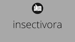 Que significa INSECTIVORA &bull; insectivora SIGNIFICADO &bull; insectivora DEFINICI&Oacute;N &bull; Que es INSECTIVORA