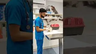 Paws & claws specialist veterinary clinic Riyadh,Saudi Arabia