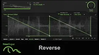 TimeShaper Mini Guide 5/7: Reverse