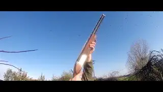 chasse à la palombe  2021/2022