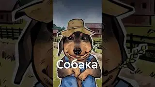 DINKWAD, GUPPIE и HENRY - кто они? #shorts
