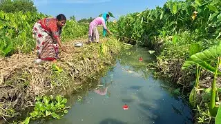 Fishing Video || Traditional Two lady Hunting Big Fish From The Village Canal Using Hook | hook trap