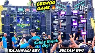 BREWOG GANK🔥‼️ SULTAN & RAJAWALI MUSIC SALING UNJUK GIGI DI KARNAVAL CINANDANG MOJOKERTO