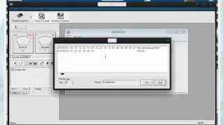 Как носить две вещи одновременно с WPE Pro