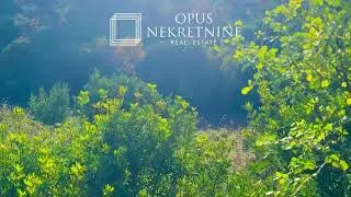 ZULJANA, Peljesac - poljoprivredno zemljiste 2284 m2 - OPUS NEKRETNINE