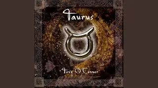 Taurus 4