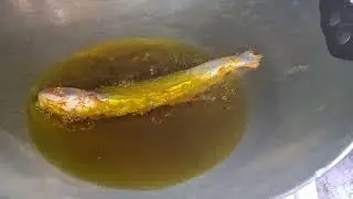 Bihar ki special tengra fish curry   #ytshorts #trending #food like#share #subscribe 
