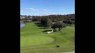 Plane Makes Emergency Crash Landing Onto Sydney Golf Course | Plane Crash | Crash Lamding