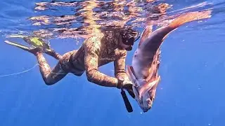 Pescasub: la seconda parte delle catture più belle del 2025 con Concetto Felice by Salvimar 