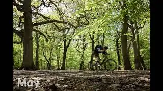 The seasons of ruislip woods
