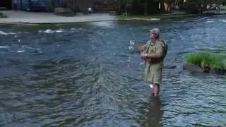 How to Choose Bait for Trout Fishing