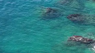 Relaxing Ripples Over Rocks - Calming Music, Meditation Music, Healing Music, Reflection Music