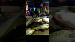 live fish at assam .Tamilnadu -Afghanistan border walk, lift, without money