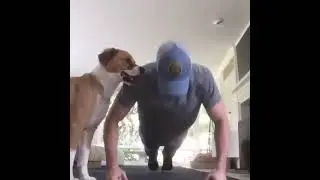 Chris Evans is exercising but his dog doesn't let him exercise
