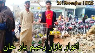 Rahim Yar Khan Sunday Birds market Latest updates 26 - November - 2023