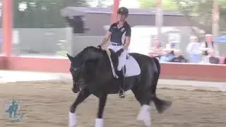 Developing a Good Stretch at the Trot