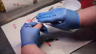 Nageldesign Nagelsticker selbst herstellen - DIY