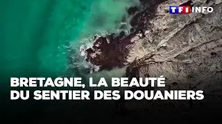 Bretagne, la beaut&eacute; du sentier des douaniers｜TF1 INFO
