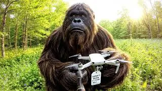 Bigfoot Vlog37