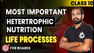 Class 10 Biology: Heterotrophic Nutrition (Holozoic, Saprophytic & Parasitic) #ncert #cbse