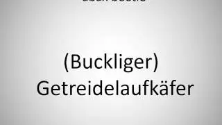 How to say abax beetle in German?