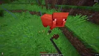 TSMP SEASON 4