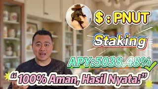 🚀 Panduan cepat staking PNUT Solana &mdash; hasil 5038.48% APY terbukti!